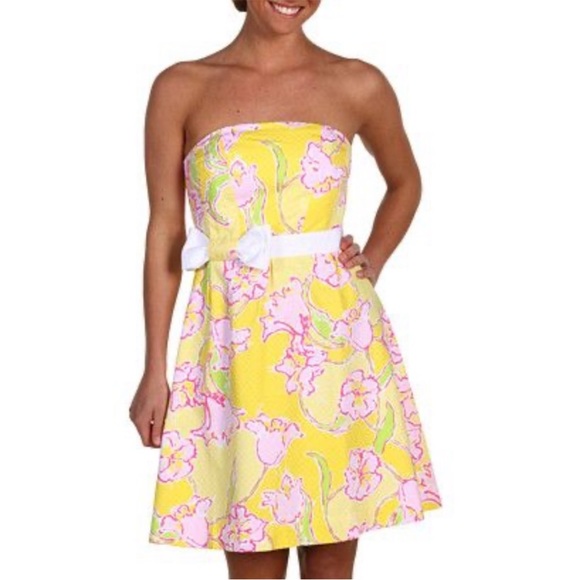 Lilly Pulitzer Amberley Dress - Picture 3 of 13